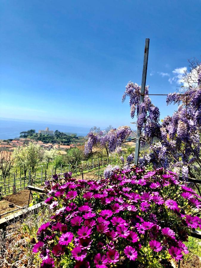 La Casa Dei Nonni Apartment Agerola Bagian luar foto