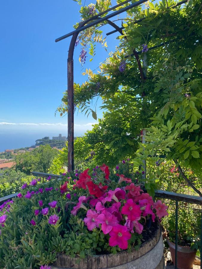 La Casa Dei Nonni Apartment Agerola Bagian luar foto